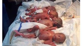 好強！25歲媽自然產「生下七胞胎」　母子健康...7寶排排睡萌翻(圖/翻攝自太陽報)