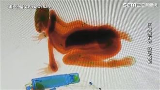 等不及過安檢　女童鑽X光機留紀念照