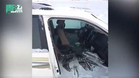 大陸,新疆,越野車,漂移,冰窟（圖／翻攝自新浪視頻）
