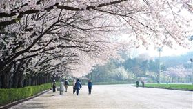 ▲。（圖／Tripbaa趣吧！亞洲自由行專家）