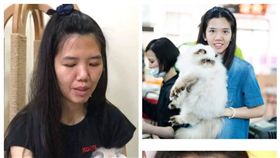 波斯貓,港女,行竊,新北,翻攝畫面,翻攝臉書