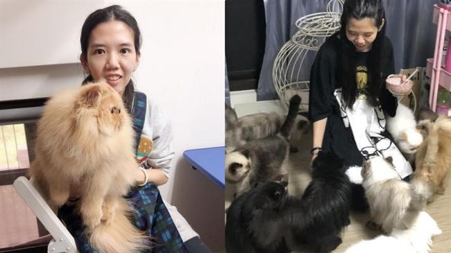 港女偷貓裝孕肚搭機　關務署這樣說