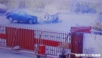 1歲男童遭撞枉死　最新監視器曝光
