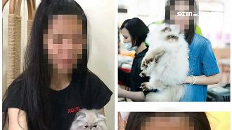 貓咪藏肚出境　主人：肯定強餵安眠藥