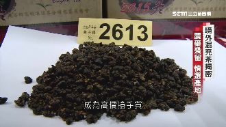 境外茶被混充得獎茶！海關抽檢難防