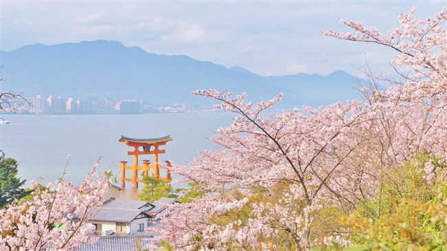 西日本最強賞櫻景點一次告訴你