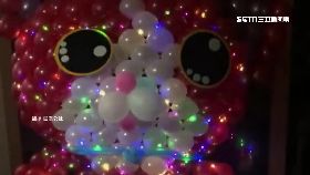 巧手製貓燈12000