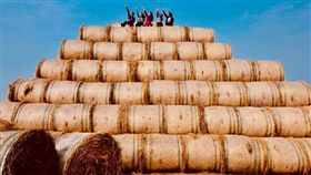 稻草,吸菸,雲林,虎尾,開放,假日,金億陽洋菇農場　圖／翻攝自臉書金億陽洋菇農場