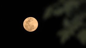 元宵遇年度最大滿月（3）中央氣象局表示，19日元宵節晚間11時54分將可看到今年度的最大滿月，且根據美國海軍天文台計算程式區間，推估這次元宵滿月是自西元1800年至今唯一的「元宵節出現年度最大滿月」。中央社記者張皓安攝　108年2月19日