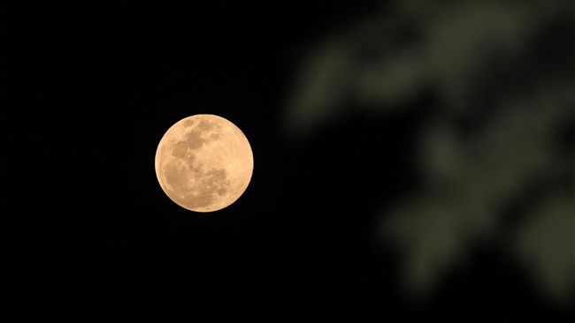 元宵節遇最大滿月　這時間抬頭看最好