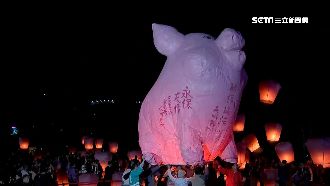 豬年慶元宵　5米高粉紅豬升空祈福