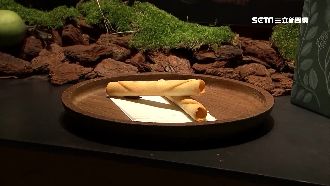 挑戰味蕾！鳳梨酥名店推「榴槤蛋捲」