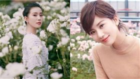 劉詩詩 (圖/微博)