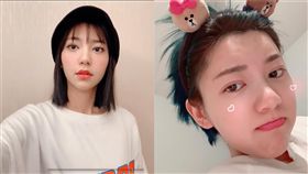 郭雪芙 (圖/臉書)