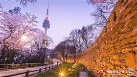 ▲到南山公園散步賞櫻，還可以看見不遠處的南山塔。（圖／shutterstock.com）