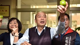 韓國瑜,進洞房,新加坡,農會,農民,發大財