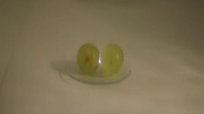 微波葡萄變火球？他炸多台微波爐揭謎