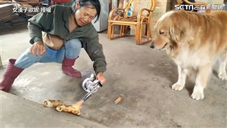 「炙燒牛骨頭」太燙　汪星人飆罵阿嬤