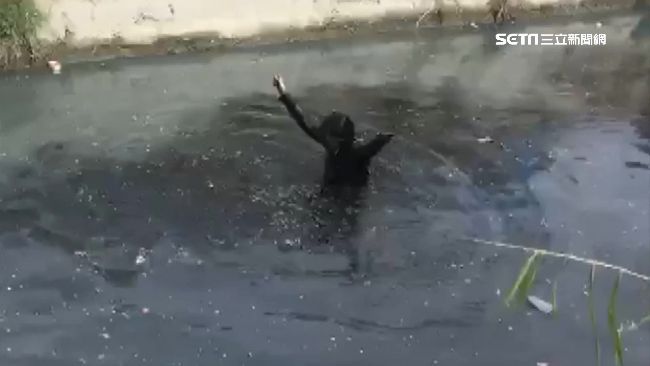 越南妹不願返國　情緒失控跳臭水溝