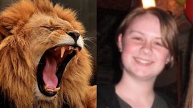 動物園,實習生,柵欄,獅子,咬住,失血,麻醉槍,美國,　圖／翻攝自臉書、Pixabay