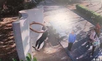 屁孩手賤扯壞裝置藝術　網怒：求償！