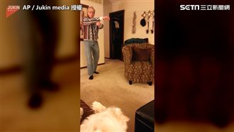 老爹跳江南STYLE？汪星人氣噗噗