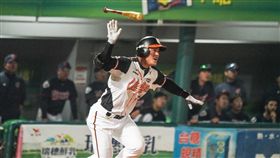 ▲統一獅外野手林勝傑春訓面對樂天巨人開轟。（圖／統一獅球團提供）