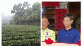 茶農謝潮陽　（圖／翻攝自松輝有機茶園臉書）