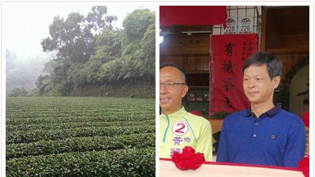 中國盜用有機認證　台茶農商譽衰被毀