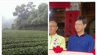 中國盜用有機認證　台茶農商譽衰被毀