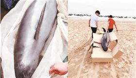 快變中國料理…江豚流淚不止　2男不忍花千元買下放生
陸媒