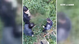 謊稱切腫瘤…狠母產後溺死嬰棄屍