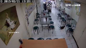 山羌亂入麵店「萌」摔　網：醉了嗎