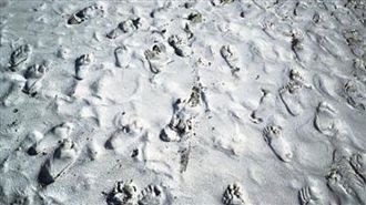 白沙屯媽祖直衝濁水溪　神蹟屢現眾人驚嘆