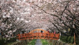 （圖／Tripbaa趣吧！亞洲自由行專家）