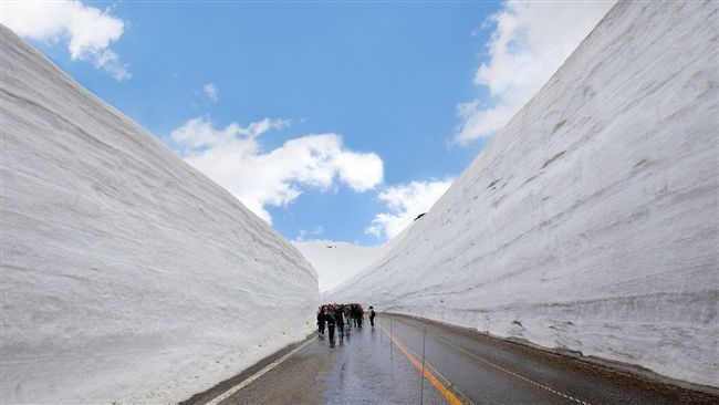 賞巨無霸雪牆！立山黑部4/15開山