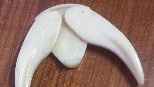 嬤抽屜見獠牙暗器　內行人偷笑曝真相