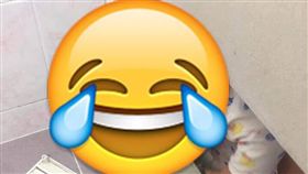 媽媽,廁所,女童,破門而入,／翻攝自爆廢公社