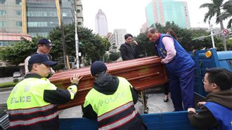 有片！白狼摔入棺　網友暴動：安樂死