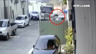 台中騎士遭撞命危　家屬求行車紀錄器