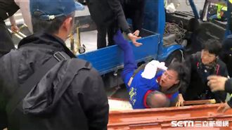 白狼直接裝箱？他：抱中大腿末路一條