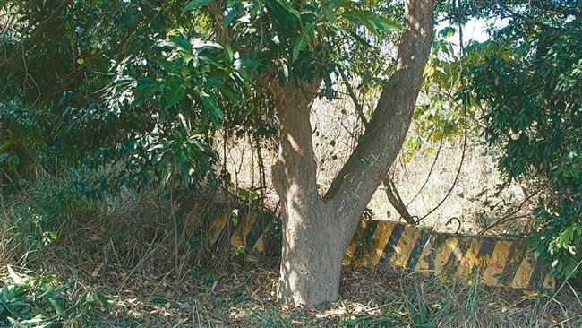 男遭判刑將入獄！竟想吊死2幼女陪葬