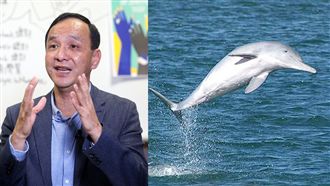 無畏韓流！乘著白海豚的朱立倫