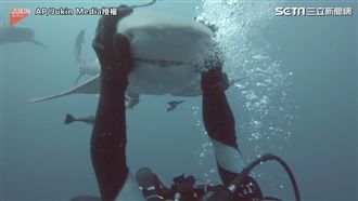 愛「撒嬌」萌鯊　網：這什麼品種的狗