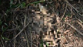 南投白骨案皮帶、香火袋／翻攝畫面