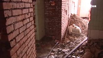 防「裝潢蟑螂」詐財！專家教三招自保