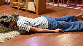 《每天回家老婆都在裝死》/推特