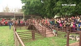 連假搶人潮！牧場門票下殺百元抽機票