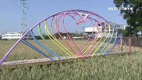 Ｌ黃金麥田夯0900