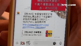 防LINE謠言有招！5帳號幫辨真假